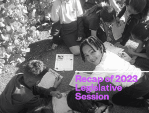 2023 Florida Legislative Session Wrap-Up & Wins